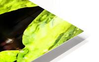  Impressionistic Hosta Leaves  HD Metal print