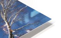 Ever Upwards Winter Perspective HD Metal print