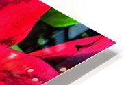 Abstract Lily Flower Close Up  HD Metal print