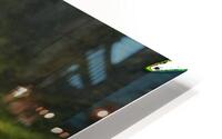 Abstract Vibrant Green Daisy HD Metal print