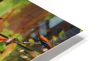 Abstract Darkly Psychedelic Daisy HD Metal print