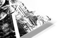 Everyday Lifes Moments- Ascending                                                                                                        HD Metal print
