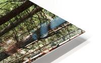 Scottish Highlands Spring Forest Morning                                                                                                                      HD Metal print