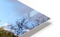 Scottish Highlands Forest View HD Metal print