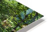 Scottish Highlands Spring Trail                                                                                                                      HD Metal print