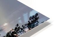 Winter Pine Silhouettes  HD Metal print