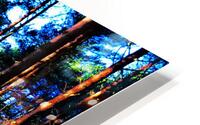 Sunlight Through the Pine Trees  HD Metal print