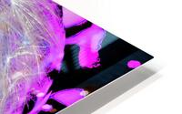 Abstract Cosmic Dandelion HD Metal print