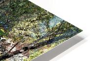 Loch Vaa through the Trees                                                                                                                     HD Metal print