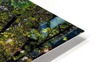  Sunlight through the Forest Canopy                                                                                                                     HD Metal print