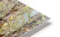 Scottish Highlands Spring Stream                                                                                                                      HD Metal print