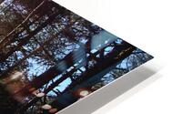 Sunbeams through the Birch                                                                                                                      HD Metal print