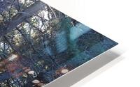 Winter Forest Sunlight                                                                                                                      HD Metal print