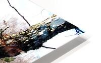 Winter Birch Forest Trail                                                                                                                      HD Metal print