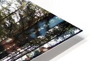 Pine Forest Sunny Trail                                                                                                                   HD Metal print