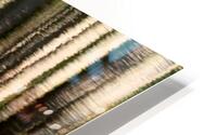 Abstract Pine Tree Lochan Reflections HD Metal print
