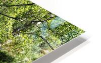 Sunlit Forest Path                                                                                                  HD Metal print