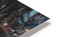 Summer Forest Trail HD Metal print