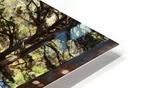  Lochside View  HD Metal print