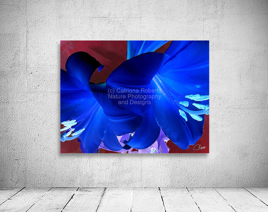  Abstract Colour Popping Lilies Wall Preview