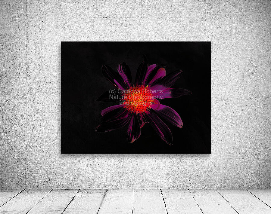Abstract Single Glowing Cone Flower Wall Preview