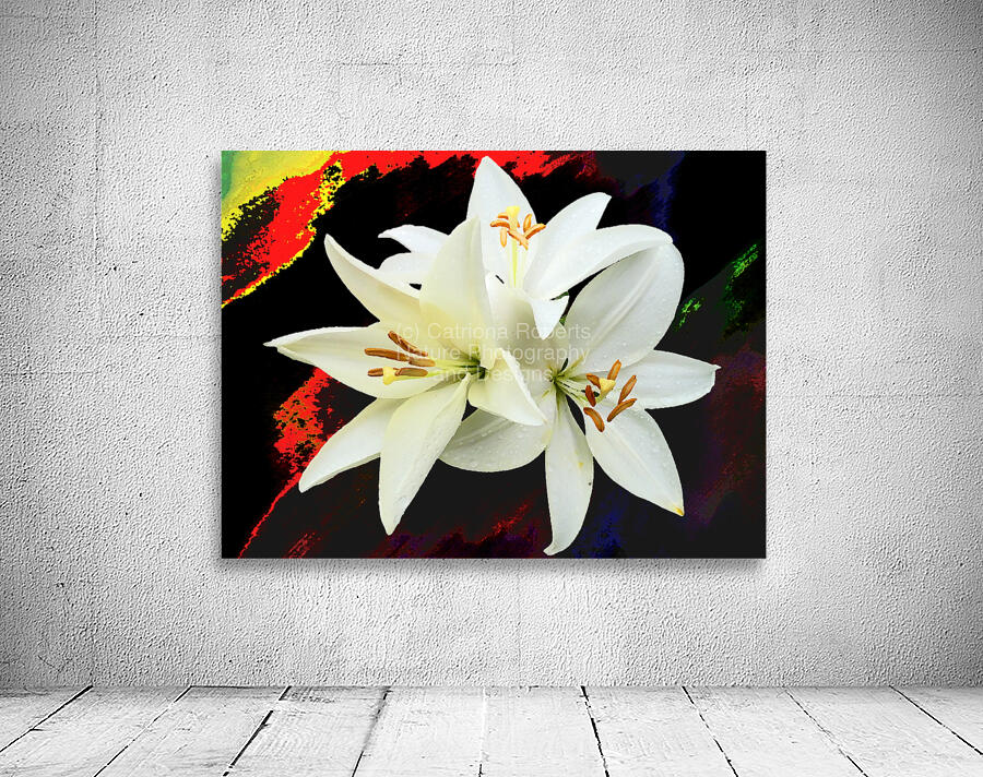  Abstract Trio of White Lilies on a Coloured Distressed Background Wall Preview