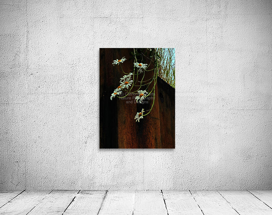Impressionistic Darker Summer Trailing Daises Wall Preview