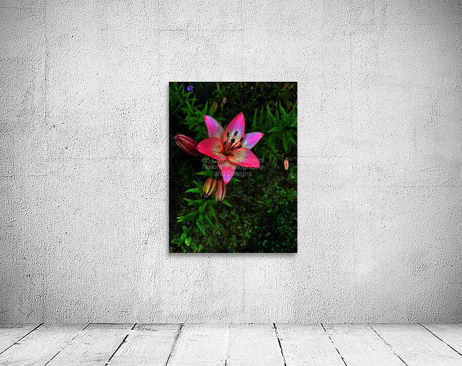 Vibrant Lilies  Wall Preview