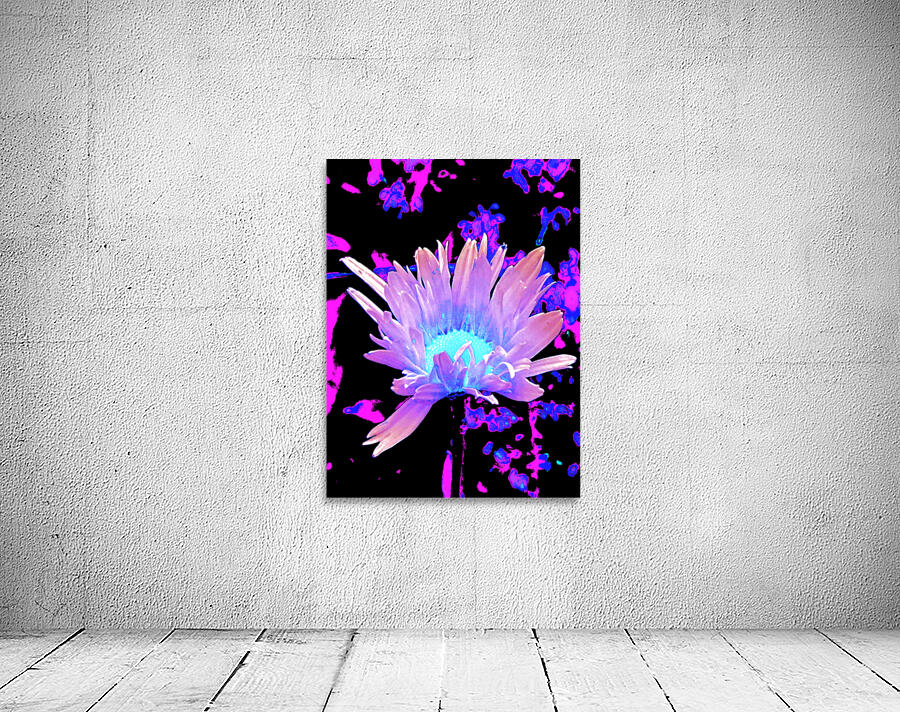 Abstract Summer Daisy Flower in Pinks and Purples  Wall Preview