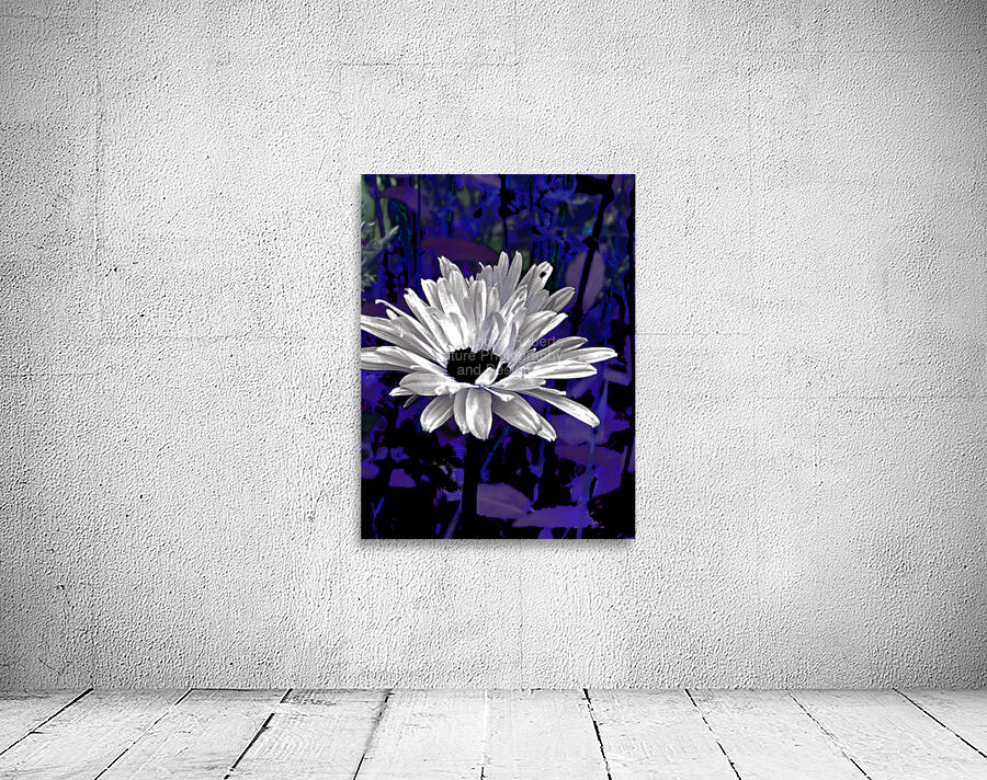 Abstract Daisy Flower on a Dark Background Wall Preview