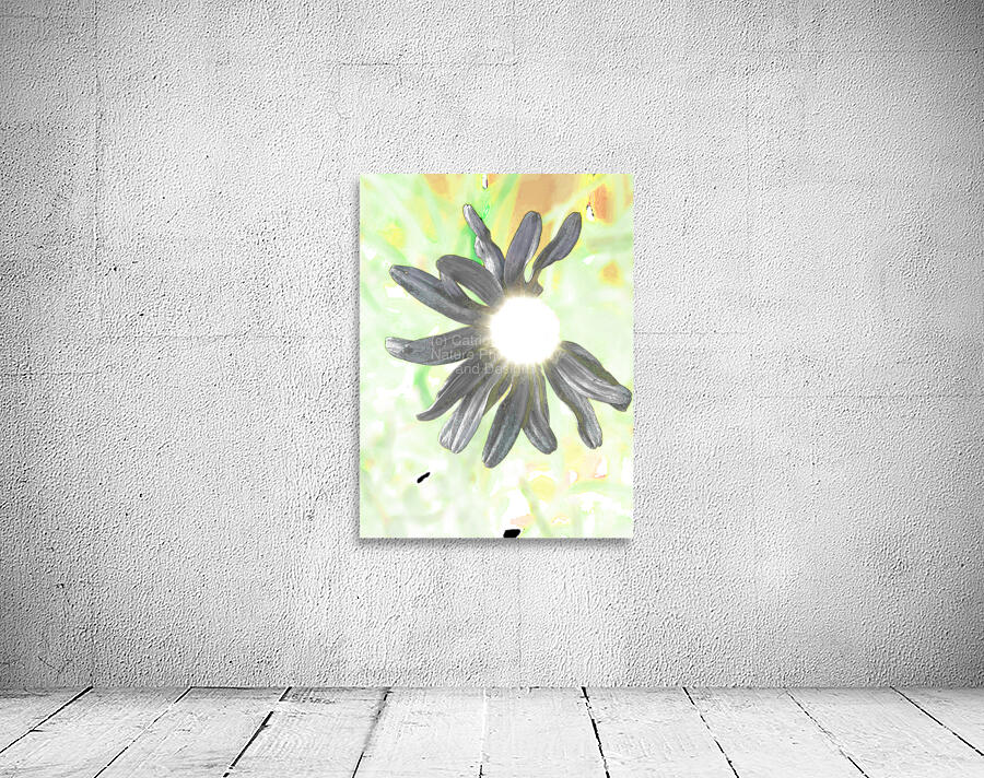 Abstract Daisy Sunbeam Wall Preview