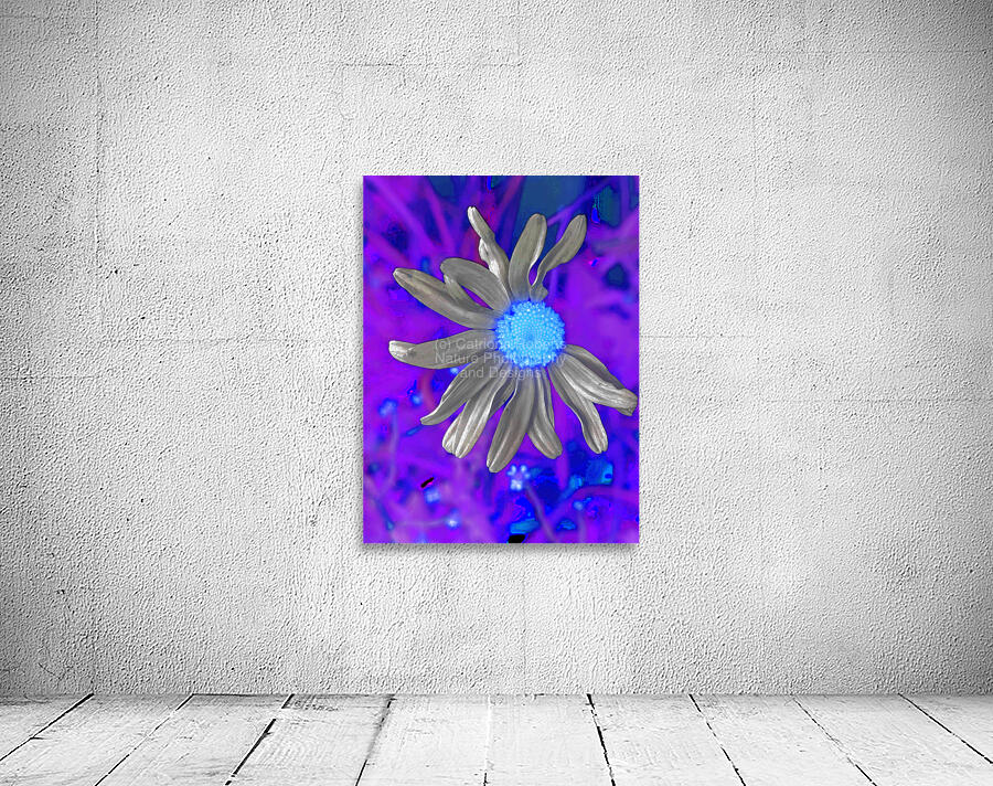 Abstract Colourful Daisy Flower  Wall Preview