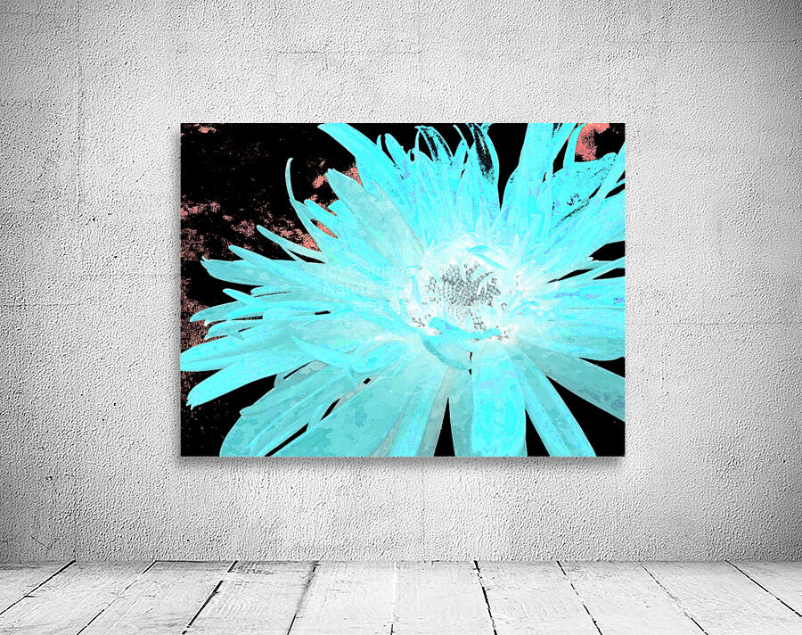 Abstract Turquoise Daisy Flower Wall Preview