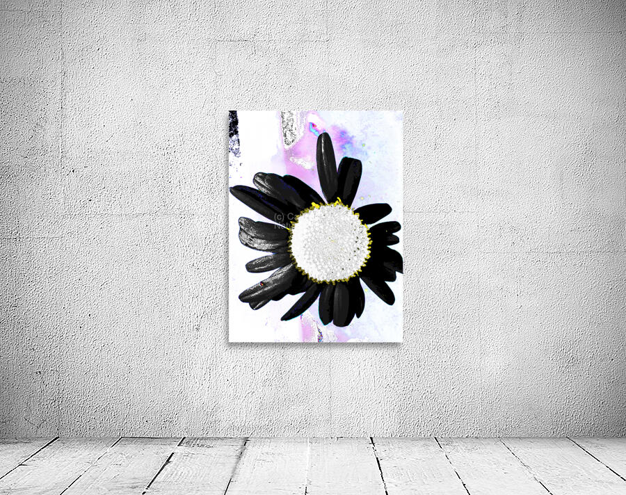 Abstract Daisy with Black Petals  Wall Preview