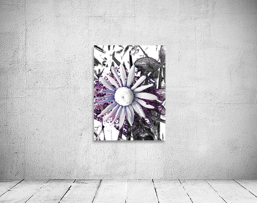 Cool Abstract White Daisy  Wall Preview