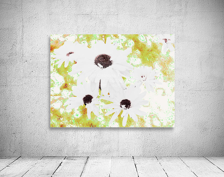  Abstract White Daises on a Green Background Wall Preview