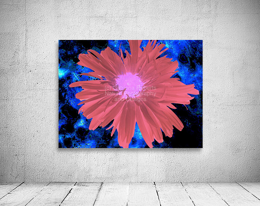 Abstract Red Daisy Wall Preview