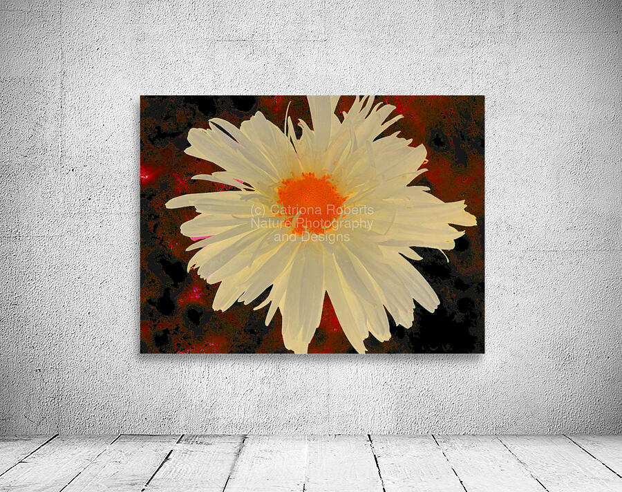 Abstract Orange Daisy with Abstract Background Wall Preview