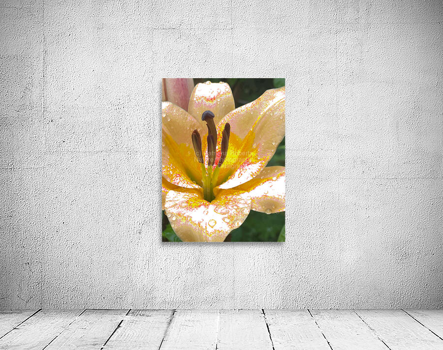 Abstract Vibrant Dew Drop Lily Flower Wall Preview