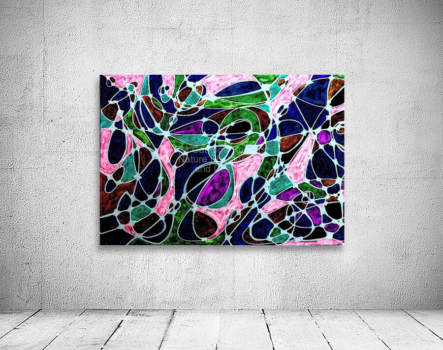 Abstract Bold Shapes and Colours by Catriona Roberts Nature Photography ...