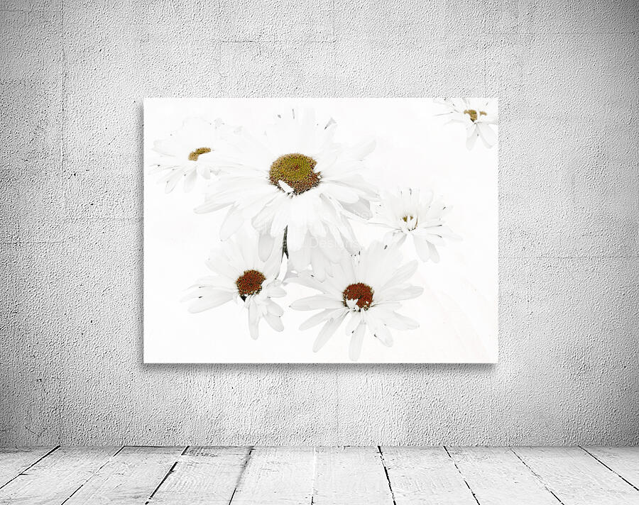 Abstract Daises Yellow Centers Wall Preview