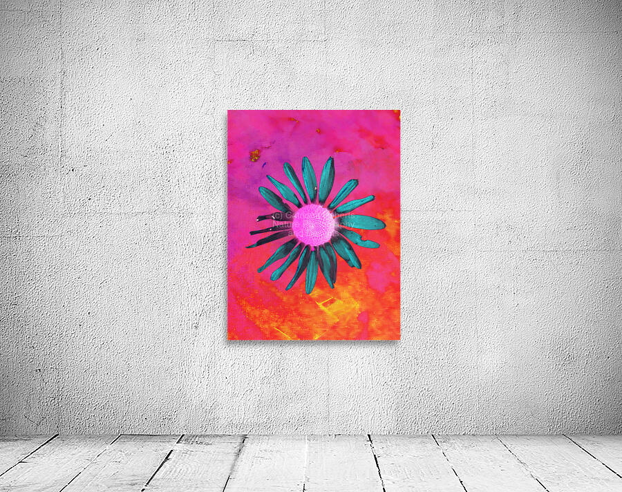 Abstract Vivid Daisy Wall Preview