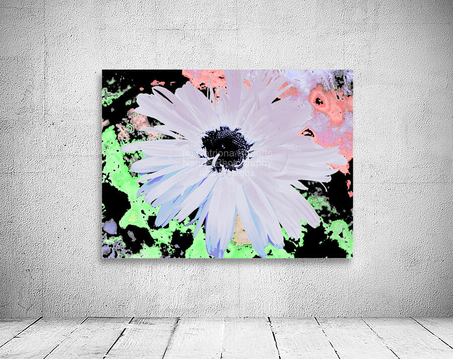 Abstract Colourful Large Daisy Wall Preview