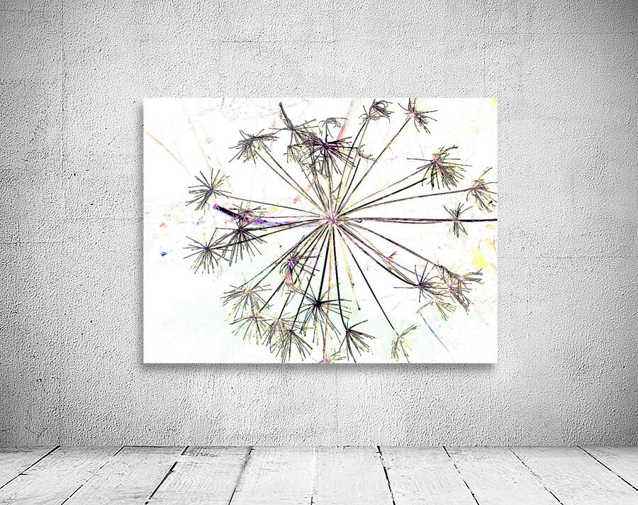 Angelica in the Morning  Wall Preview