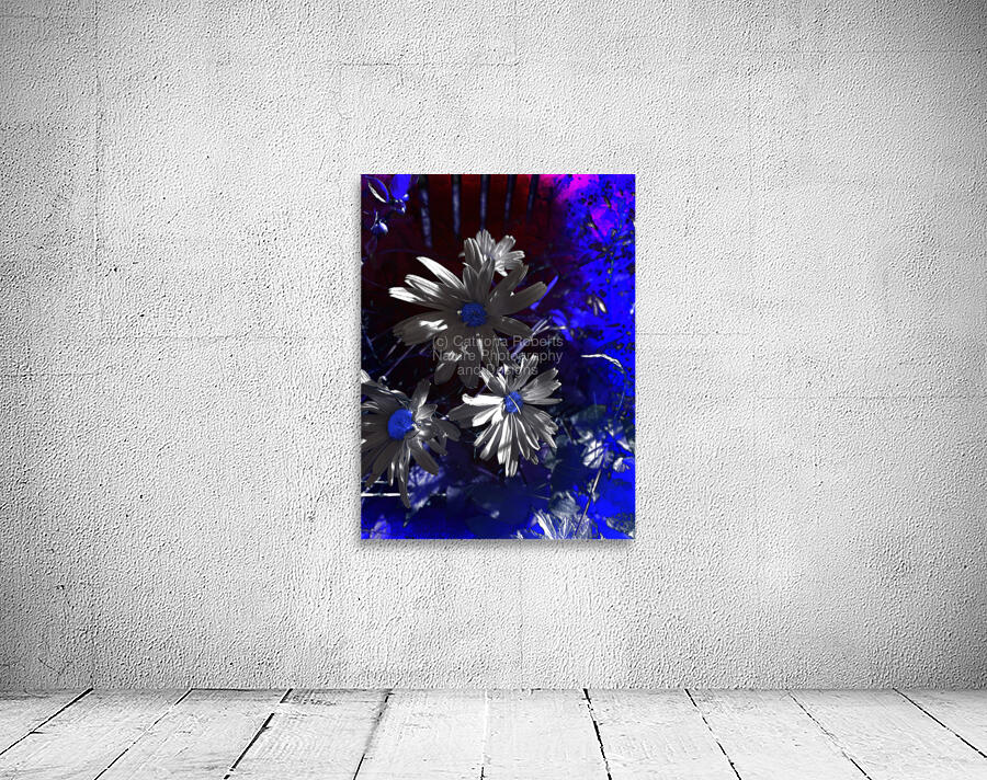 Abstract Dark Toned Daises Wall Preview