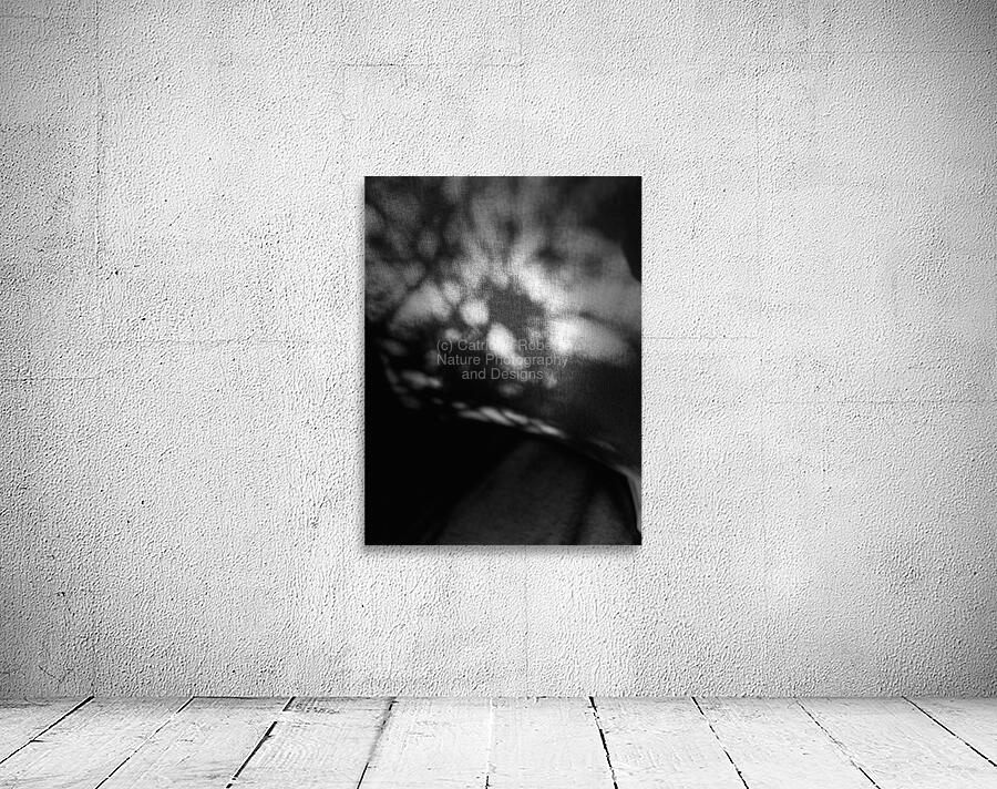 Abstract Shadows in Black and White Wall Preview