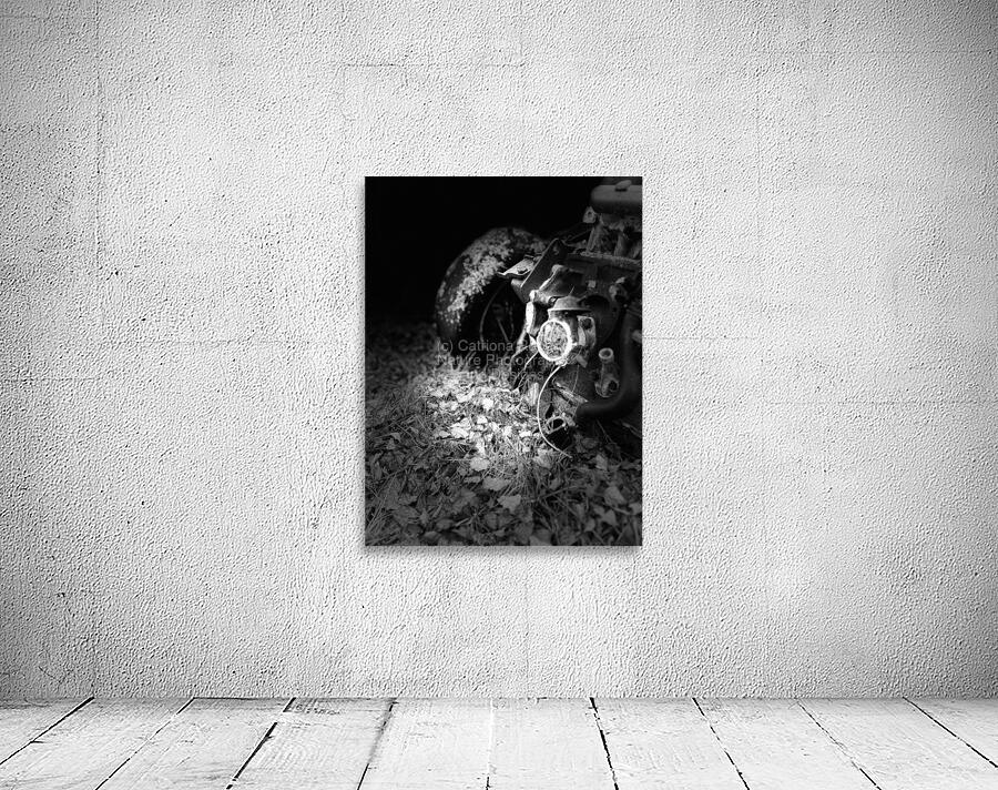 Scenes from the Trail- Disintegration Wall Preview