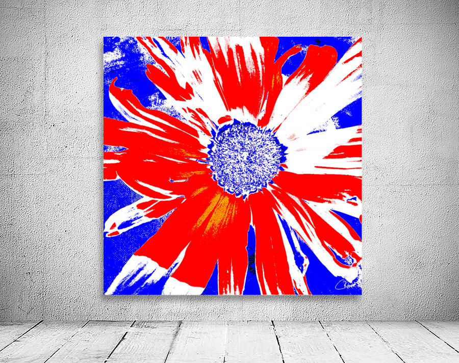 Red White and Blue Daisy on a Navy Abstract Background Wall Preview
