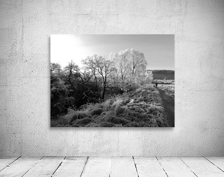 Frosty Morning in the Scottish Highlands Wall Preview