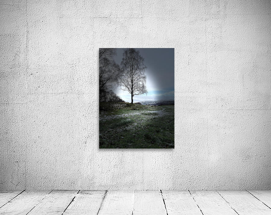  Scenes from the Trail- Tree Wall Preview